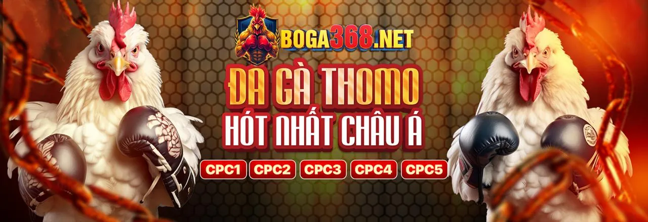 Thabetcasino Hỗ Trợ Khách Hàng Chuyên Nghiệp