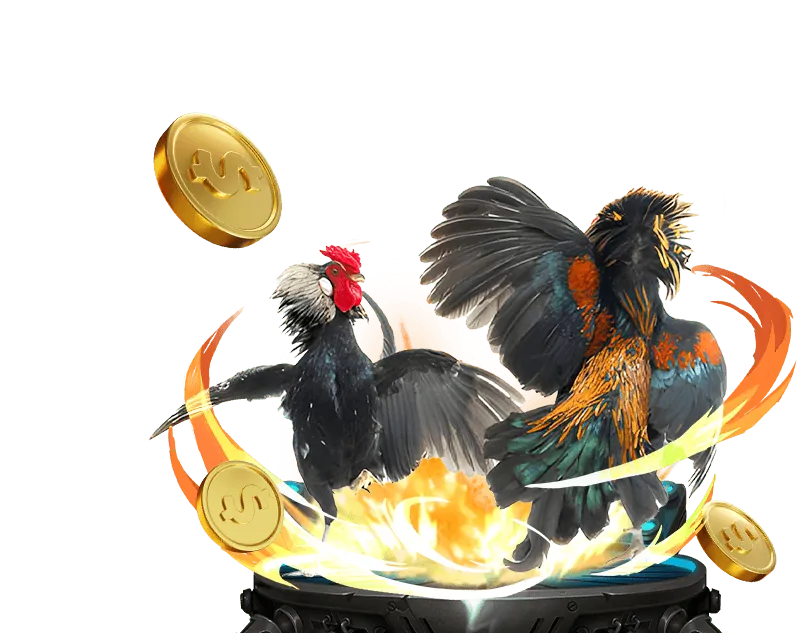 Đá gà Thabetcasino